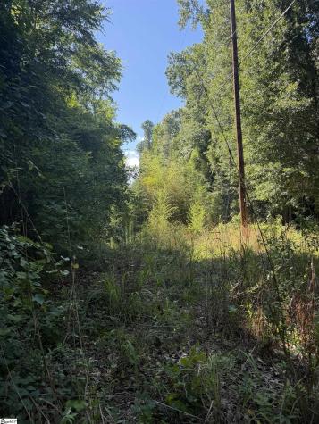 0 Buzhardt Road Ware Shoals SC 29692