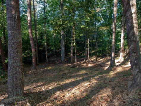 0 Woodall Road Greenville SC 29617