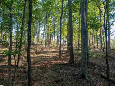 0 Woodall Road Greenville SC 29617