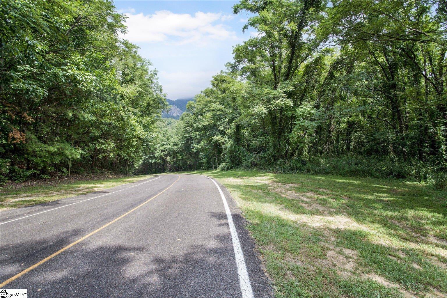 234 Craggy Rock Lane Landrum SC 29356