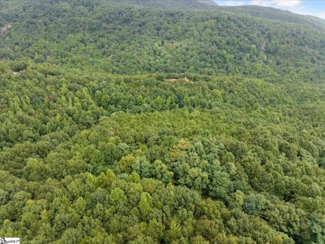 234 Craggy Rock Lane Landrum SC 29356