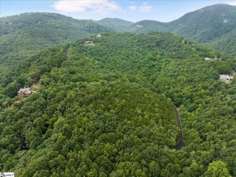 234 Craggy Rock Lane Landrum SC 29356