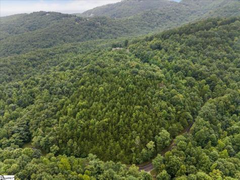 234 Craggy Rock Lane Landrum SC 29356