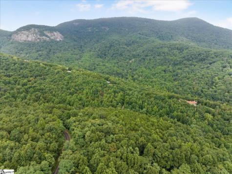 234 Craggy Rock Lane Landrum SC 29356