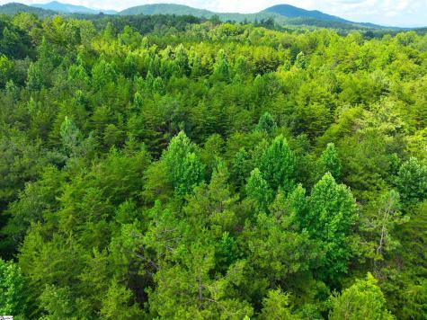 3573 Moorefield Memorial Highway Pickens SC 29671