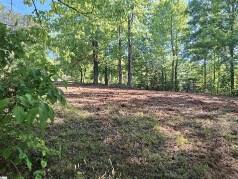 130 Sunny Lane Pickens SC 29671
