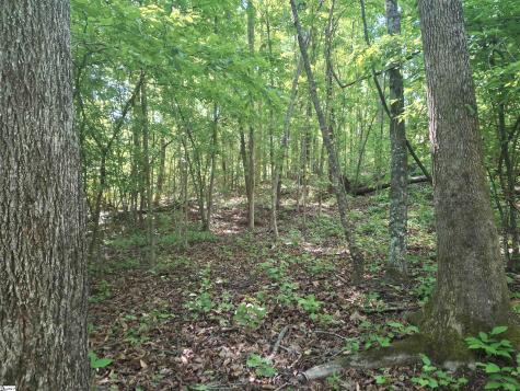 130 Sunny Lane Pickens SC 29671