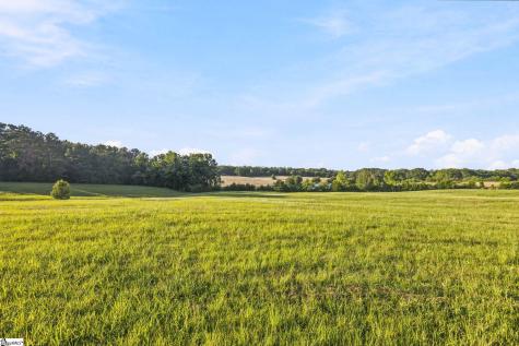 00 Indian Mound Road Ware Shoals SC 29692
