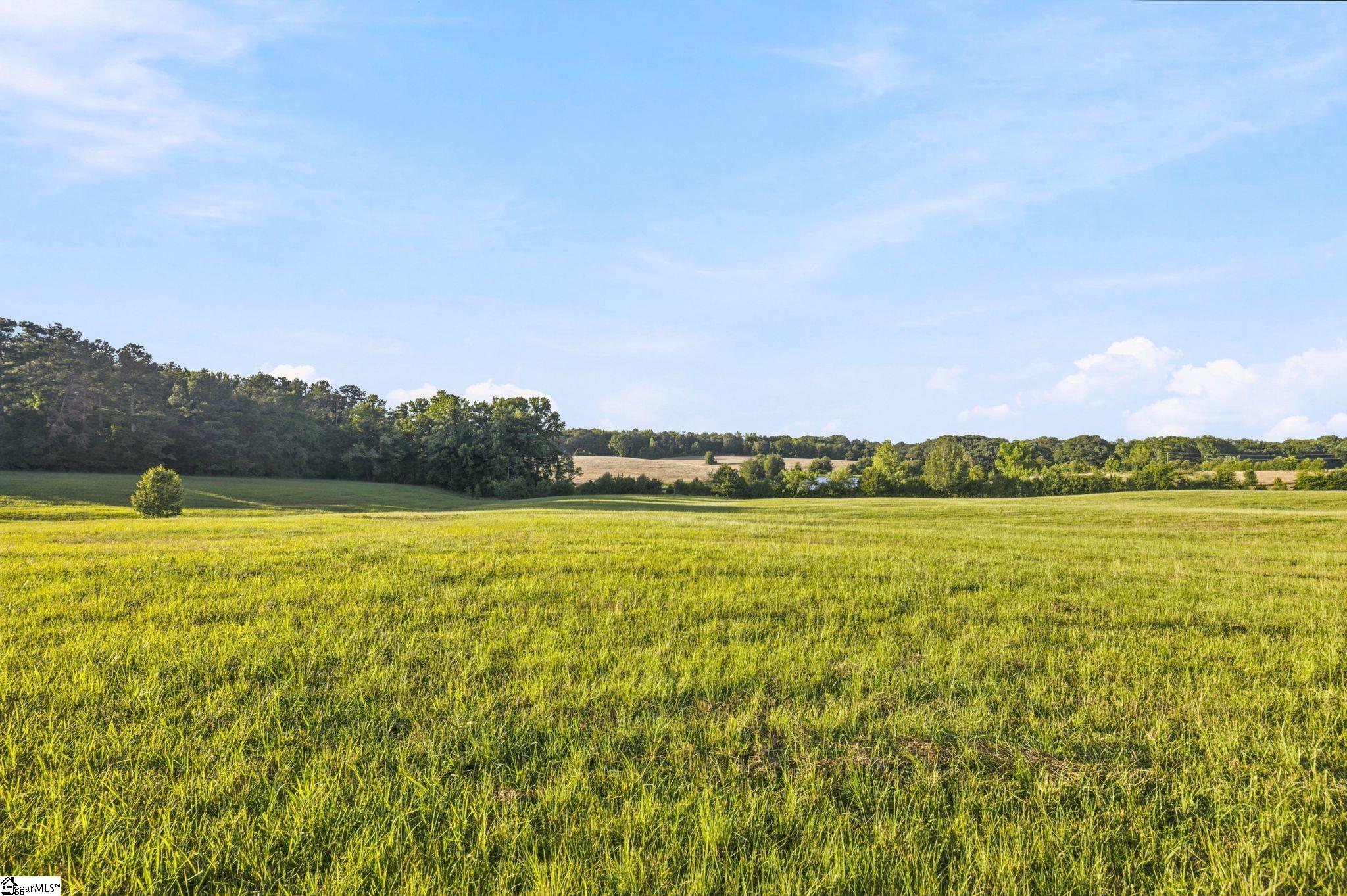 00 Indian Mound Road Ware Shoals SC 29692