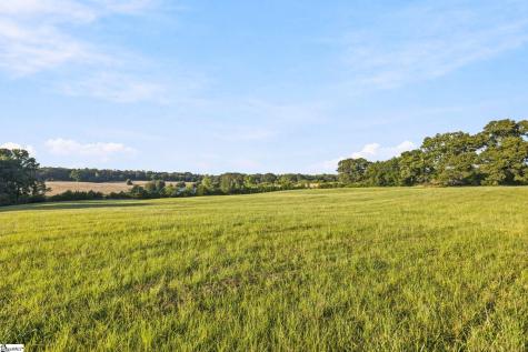 00 Indian Mound Road Ware Shoals SC 29692
