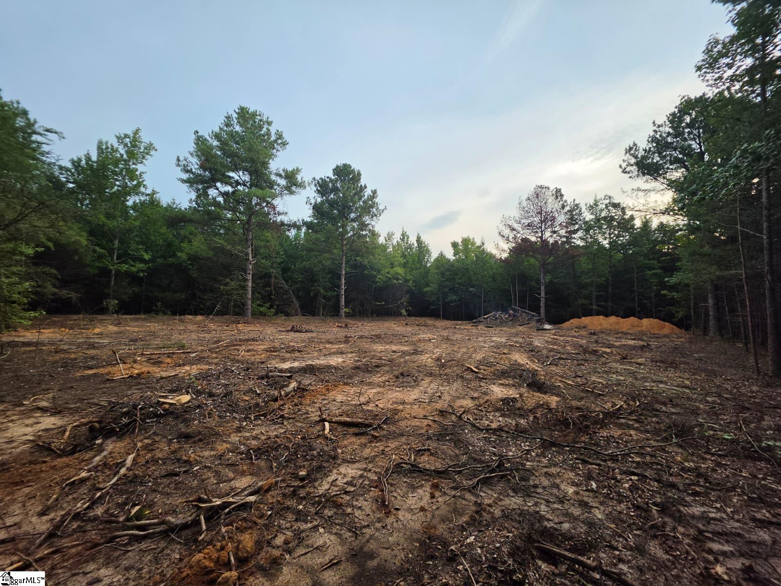 00 Owens Drive Laurens FL 29360