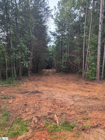 00 Owens Drive Laurens FL 29360