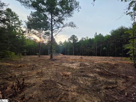 00 Owens Drive Laurens FL 29360