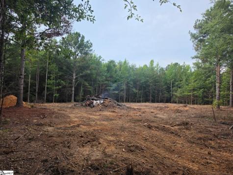 00 Owens Drive Laurens FL 29360