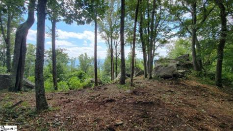 12 Drift Away Lane Landrum SC 29356