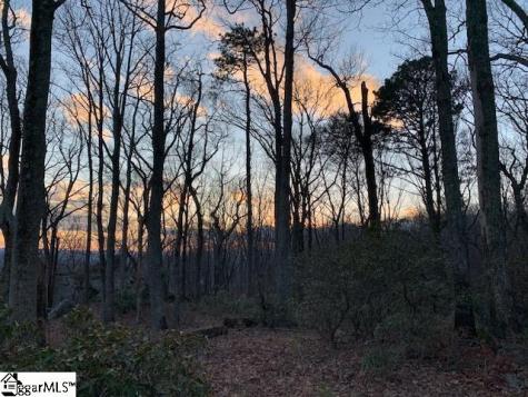 12 Drift Away Lane Landrum SC 29356
