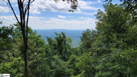 12 Drift Away Lane Landrum SC 29356