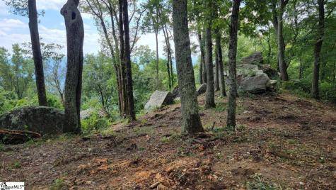 12 Drift Away Lane Landrum SC 29356