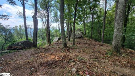 12 Drift Away Lane Landrum SC 29356