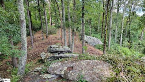 12 Drift Away Lane Landrum SC 29356