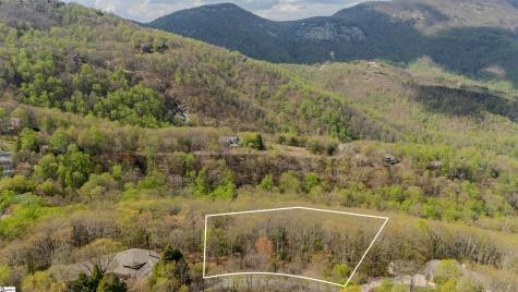 53 Harrier Lane Landrum SC 29356