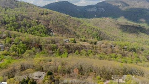 53 Harrier Lane Landrum SC 29356