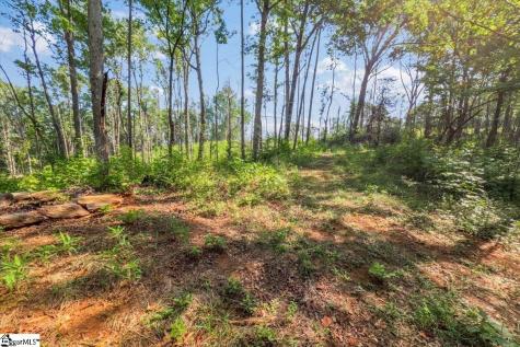 The Bear Boulevard Tamassee SC 29686