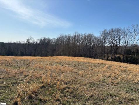672 Boxwood Road Laurens SC 29360
