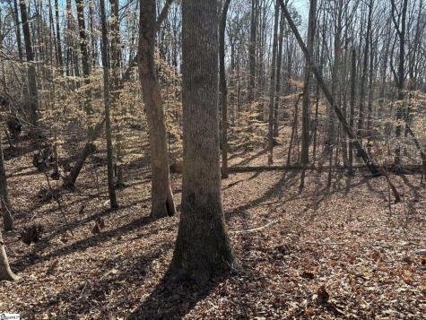 672 Boxwood Road Laurens SC 29360
