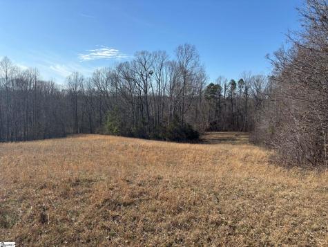 672 Boxwood Road Laurens SC 29360