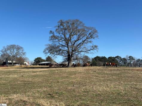 672 Boxwood Road Laurens SC 29360