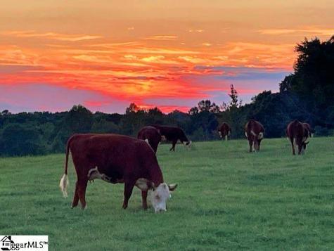 672 Boxwood Road Laurens SC 29360