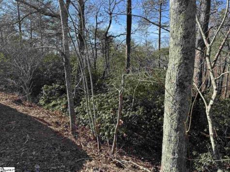 00 Caledonia Road Landrum SC 29356