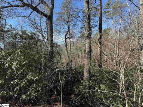 00 Caledonia Road Landrum SC 29356