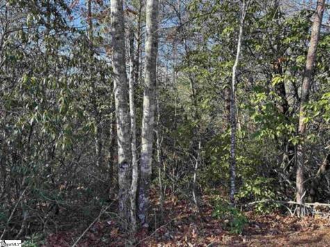 00 Caledonia Road Landrum SC 29356