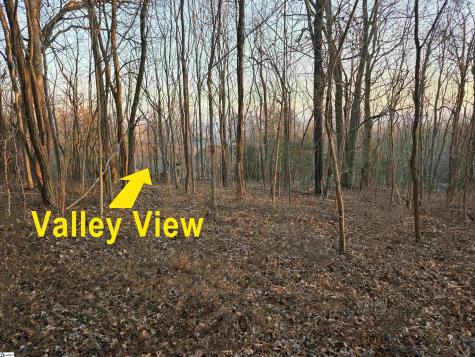 39 Raptor Way Landrum SC 29356