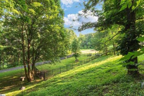 39 Raptor Way Landrum SC 29356