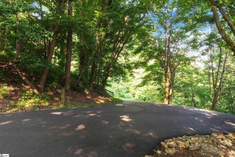 39 Raptor Way Landrum SC 29356