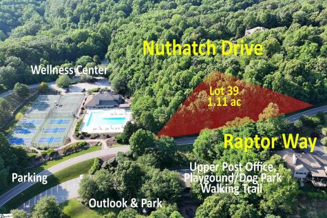 39 Raptor Way Landrum SC 29356