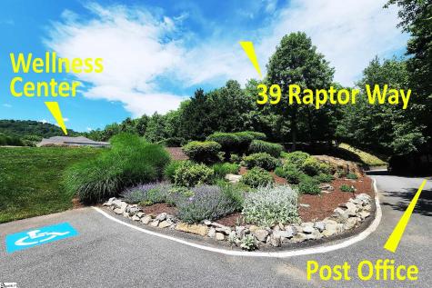 39 Raptor Way Landrum SC 29356