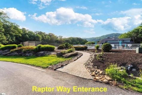 39 Raptor Way Landrum SC 29356
