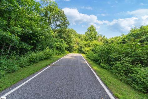 39 Raptor Way Landrum SC 29356