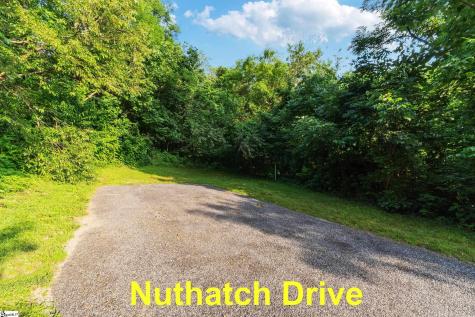 39 Raptor Way Landrum SC 29356