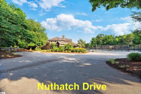 39 Raptor Way Landrum SC 29356