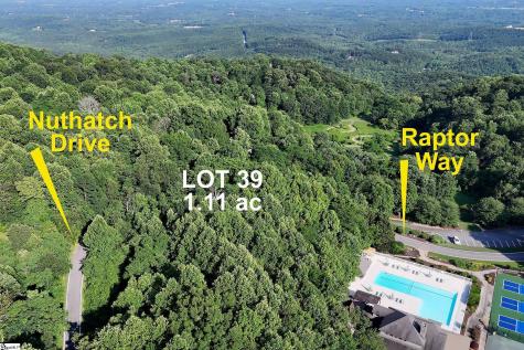 39 Raptor Way Landrum SC 29356