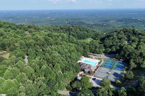 39 Raptor Way Landrum SC 29356