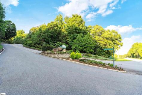 39 Raptor Way Landrum SC 29356