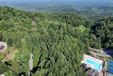 39 Raptor Way Landrum SC 29356
