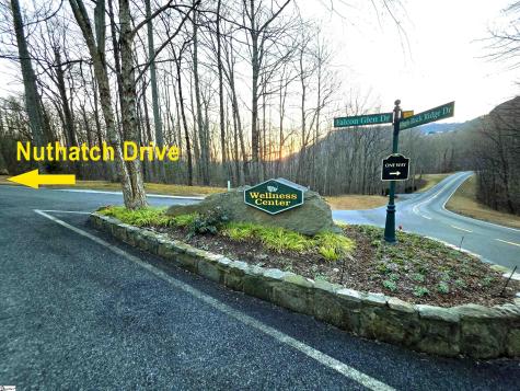 39 Raptor Way Landrum SC 29356