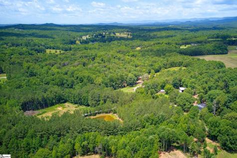 1217 Pleasant Hill Road Landrum SC 29356